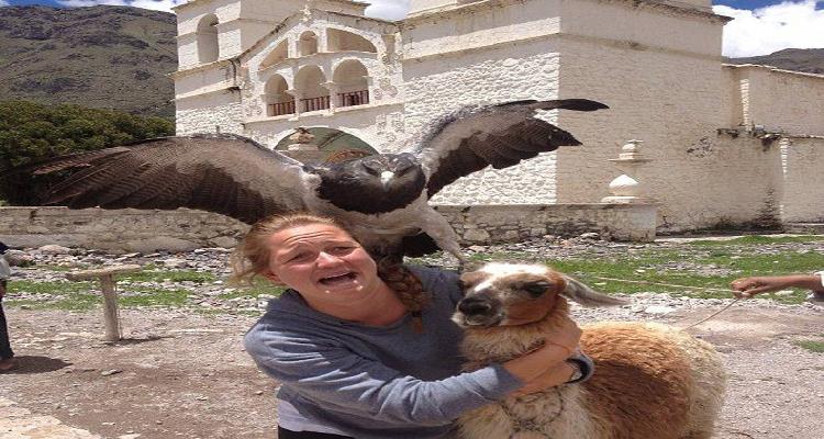 animales que se han colado en fotos que te harán reír