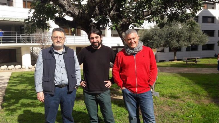 Descubren un fósil de murciélago de 16 millones de años en l’Alcora (Castellón)