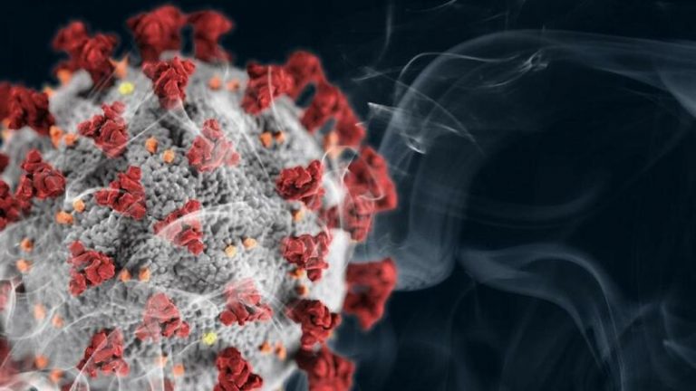 Identifican una proteína necesaria para el COVID-19 se reproduzca
