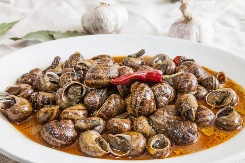 Caracoles En La Nochebuena De Cantabria