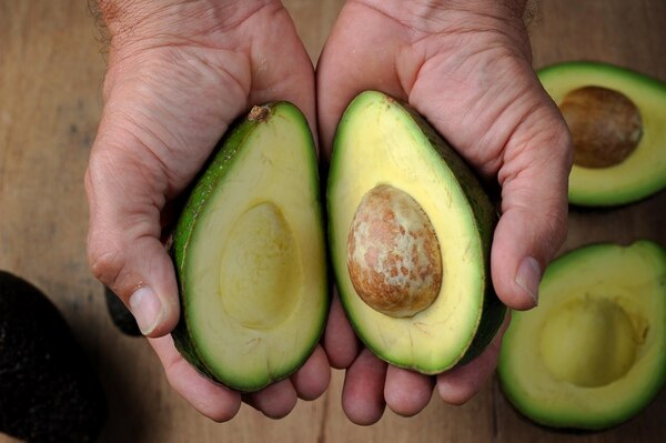 ¿De Qué Están Compuestos Los Aguacates?
