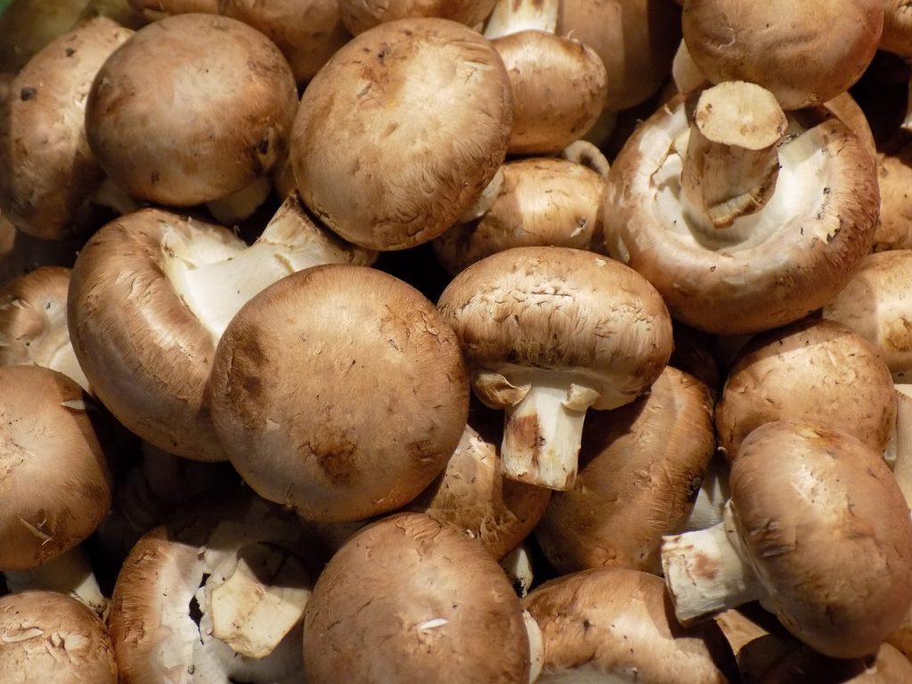 Ingredientes Para Tus Champiñones Rellenos