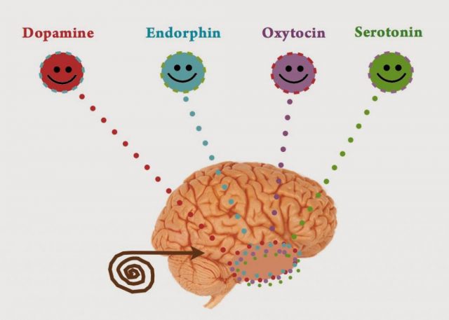 Cómo aumentar las hormonas de la felicidad y cual es la función de ellas