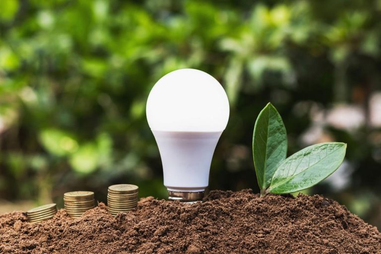 Cómo elegir una bombilla led eficiente según la OCU