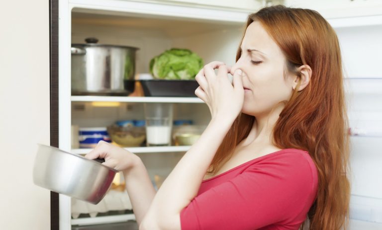 Cómo eliminar el mal olor del frigorífico