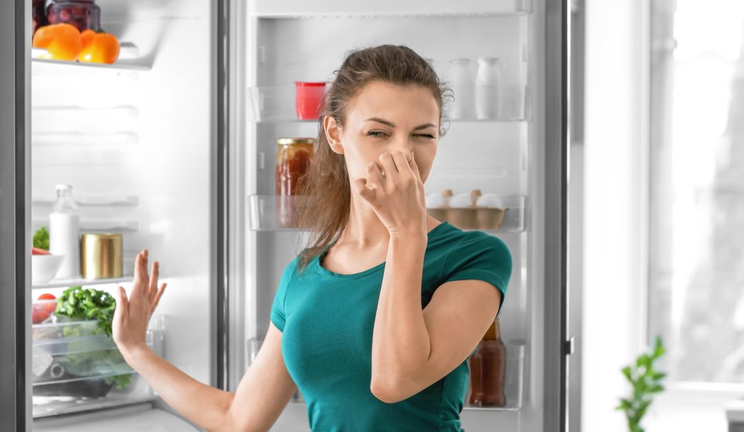 Cómo Eliminar El Mal Olor Del Frigorífico 1 Cómo Eliminar El Mal Olor Del Frigorífico