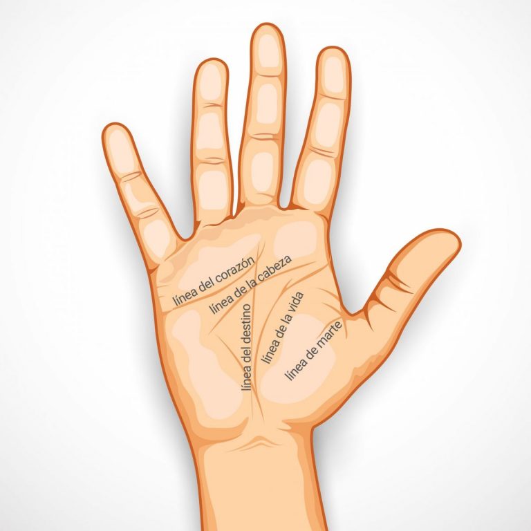 Cómo leer la mano