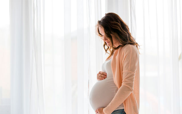 Características Generales De La Baja Por Maternidad