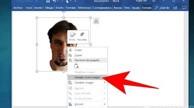 Pasos A Seguir Para Quitarle El Fondo De Una Imagen En Word