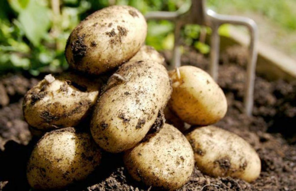 Trucos Con Los Ingredientes