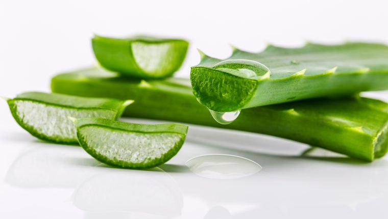 Preparación Del Gel De Aloe Vera