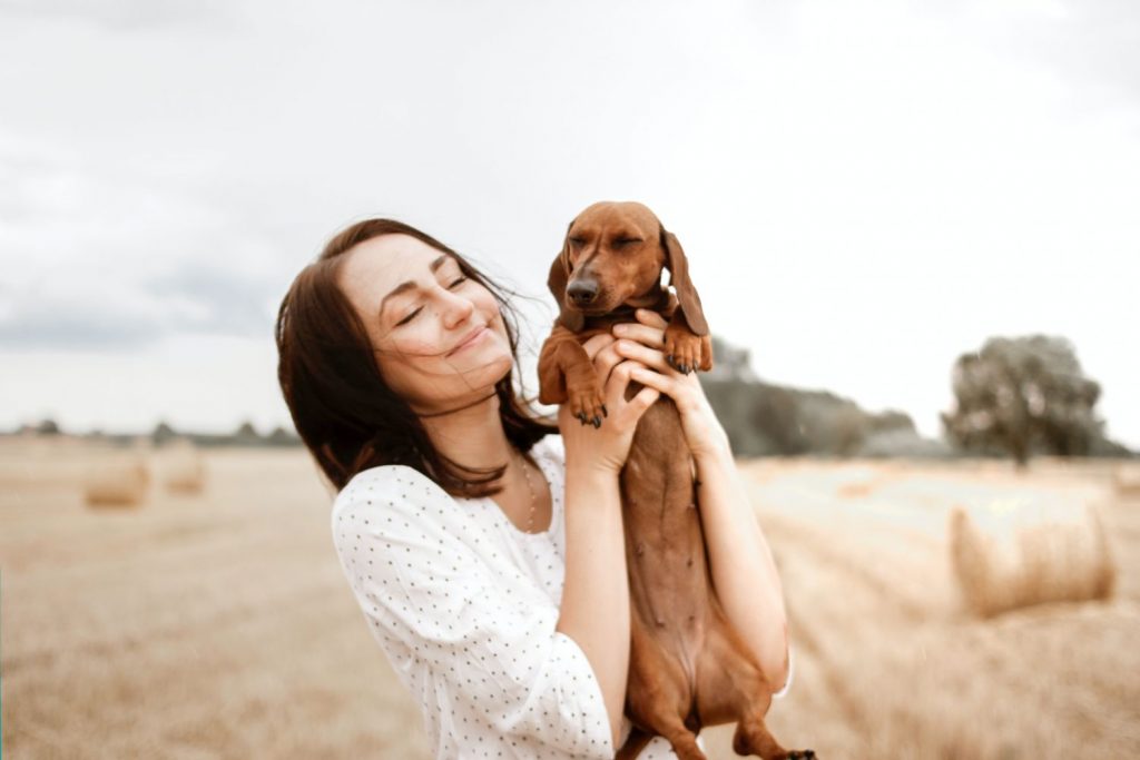 La Personalidad Del Perro Adulto