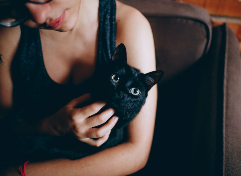 11 señales inequivocas de que tu gato está intentando matarte