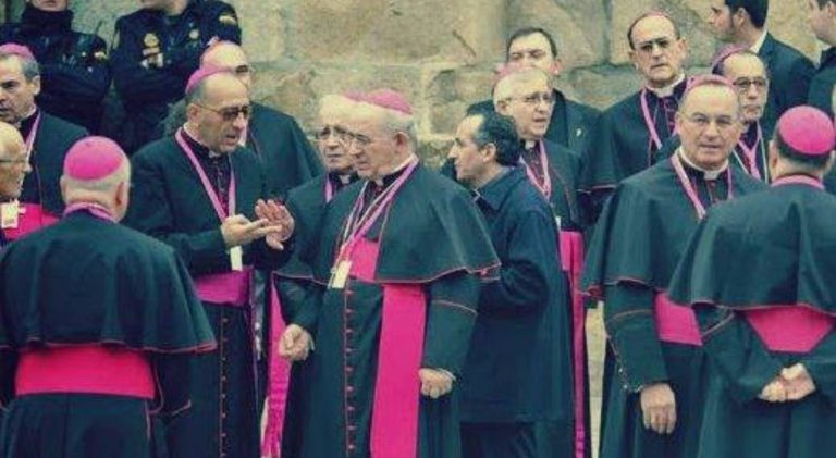 Los obispos apelan a la «conciencia» de los políticos frente a la ley de eutanasia
