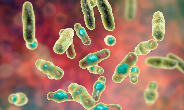 Qué es una infección, cuáles son sus causas y síntomas