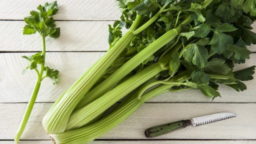 Verifica Los Detalles Y Conocer Si Está Mala La Comida
