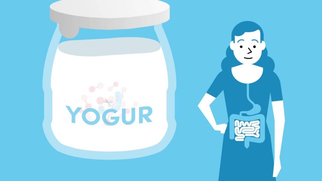Propiedades nutricionales de los yogures de súper
