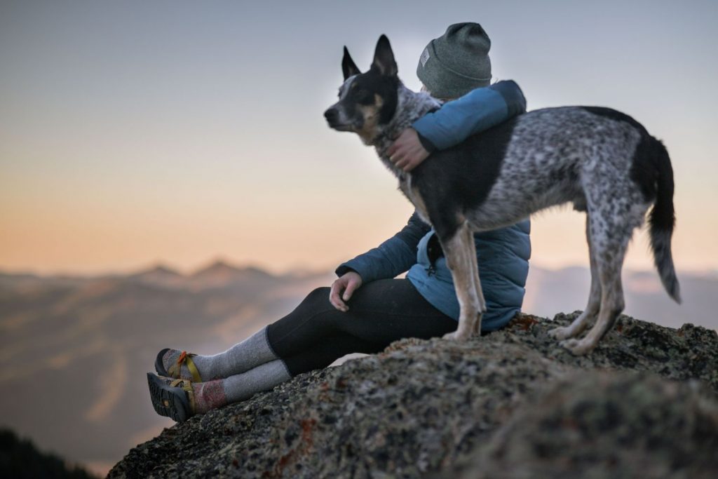 Tu Perro Te Odia: Esto Es Lo Que Le Haces Y No Le Gusta Nada 