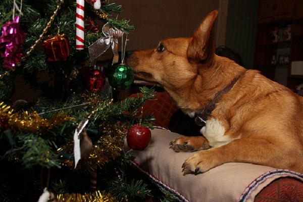 adornos navideños arbol perro gato