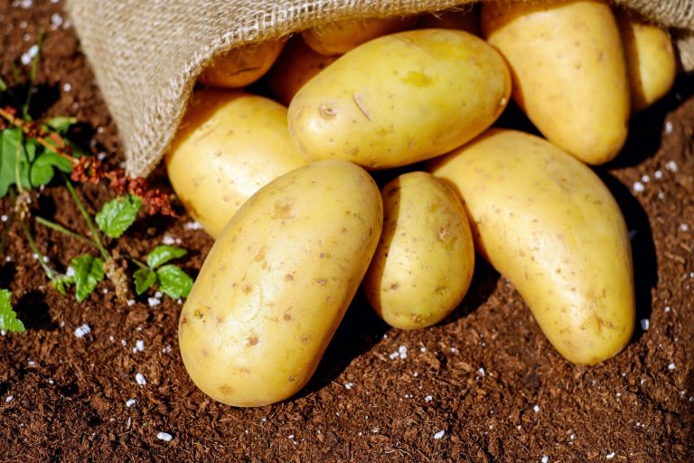Patatas, harina, salchichas… alimentos que no debes comer crudos ¡por tu bien!