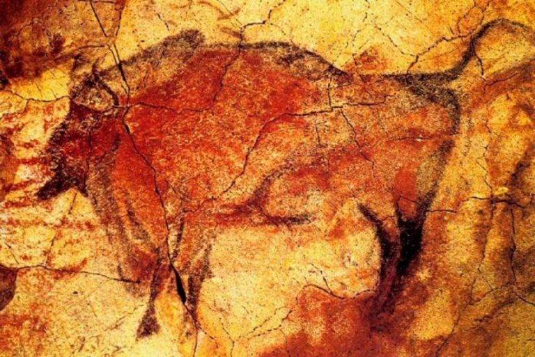 Descubierta en las Cuevas de Altamira (Cantabria) una nueva especie de colémbolo