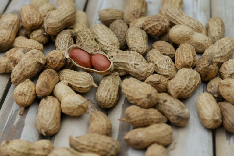 Por qué deberías pasar por agua los frutos secos antes de comértelos