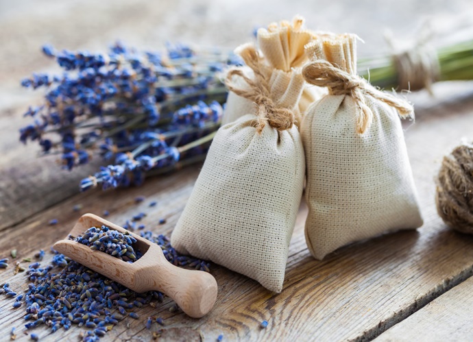 Lavanda Para Quitar El Olor En El Armario