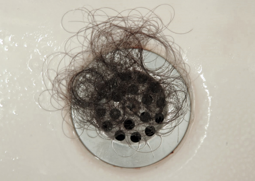 Ducha