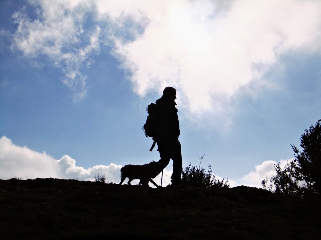 Por qué caminar lento puede ser un indicio de problemas de salud