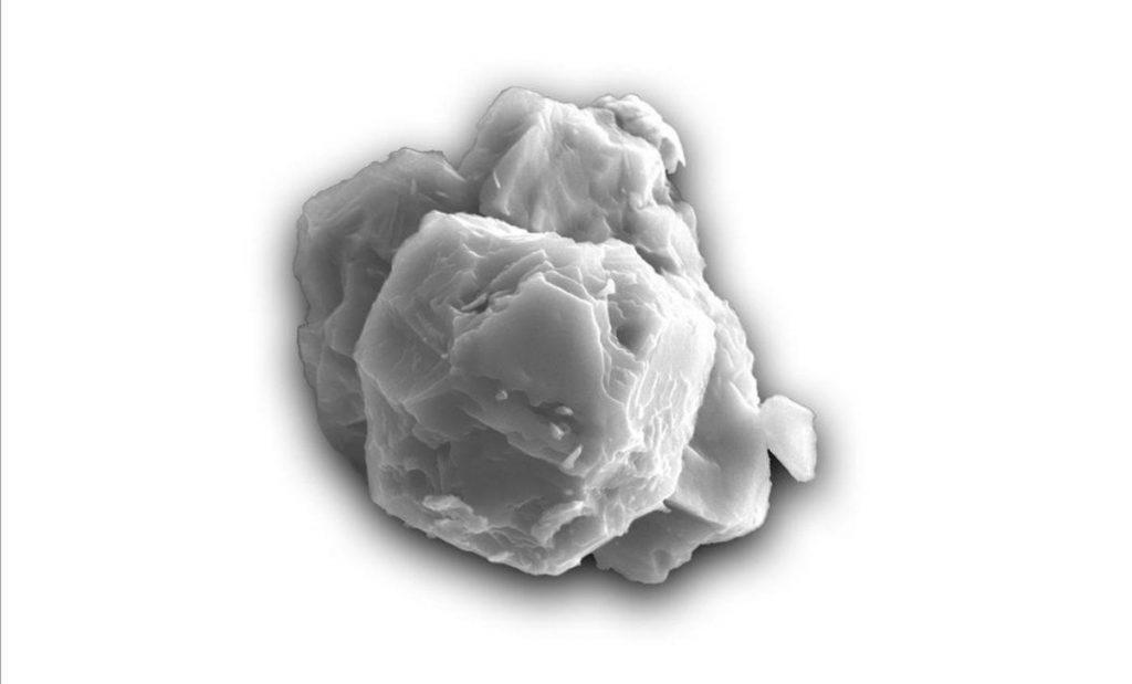 Ciencia