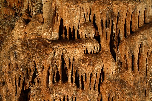 Algunas De Las Formas Que Inspiraron A Gaudí En La Cueva Del Salitre.