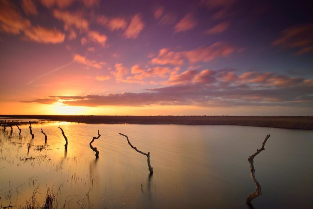 Las Marismas De Doñana También Se Verán Afectadas, Como Tokio O Venecia.