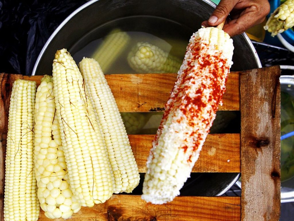 Elotes En La Gastronomía Del Mundo