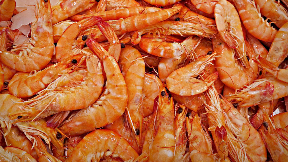 Cómo Hacer Unas Deliciosas Gambas En Salsa De Whisky