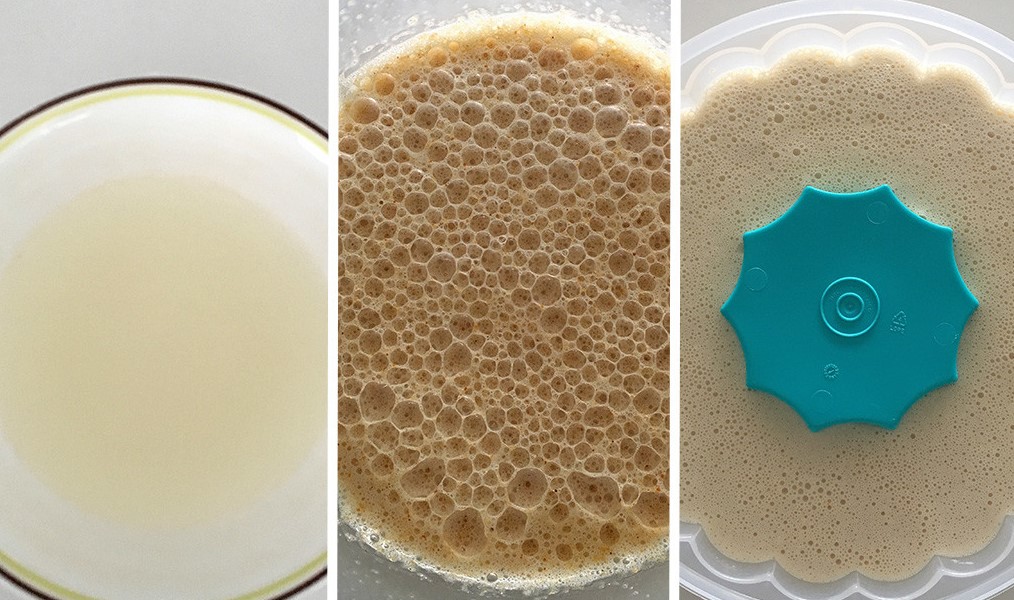 Impresiona A La Familia Con La Receta De La Gelatina De Mazapán 2 Receta De La Gelatina De Mazapán