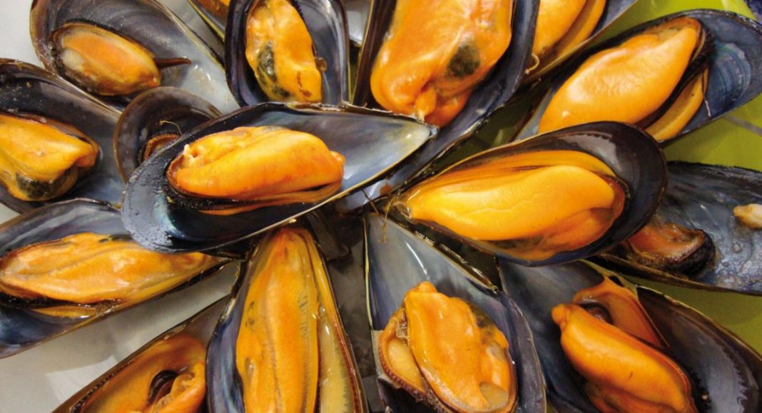 mejillones