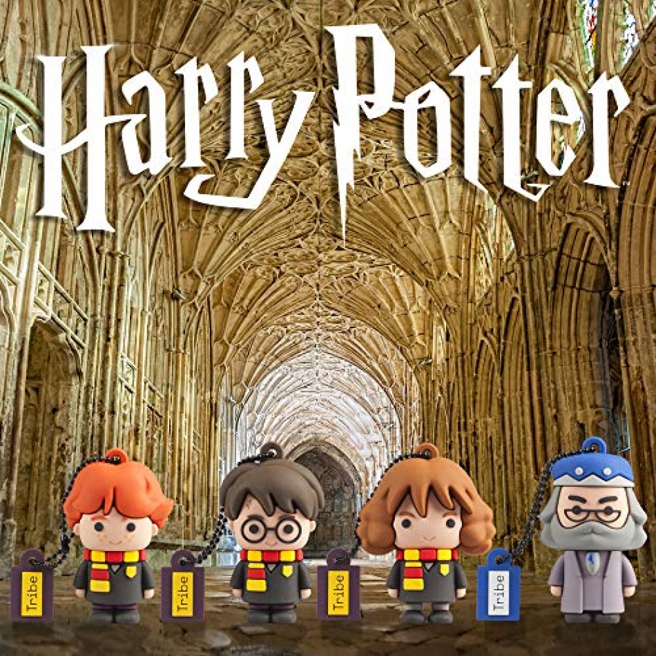 Memoria Usb Harry Potter