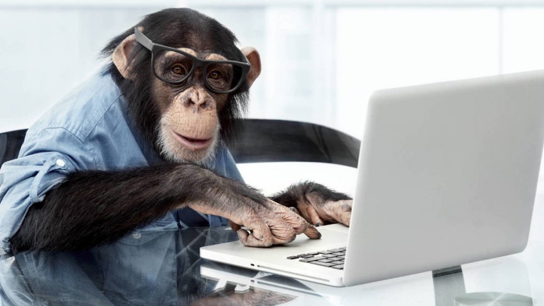 Monos experimentan conscientemente el mundo visual como los humanos