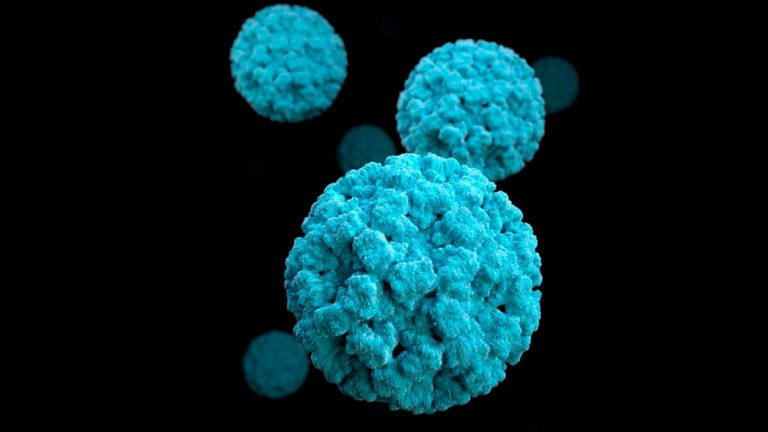 Que es el norovirus