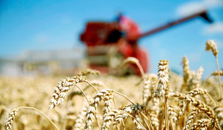 España recibe 17 recomendaciones de la CE para la elaboración del plan de la PAC
