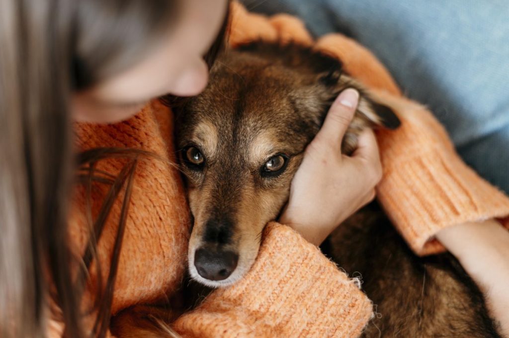 Razones Por Las Que Tu Perro Ronca Como Un Humano (Y No Te Deja Dormir)