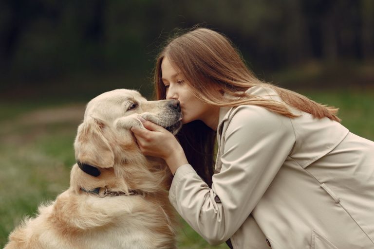 Razones por las que tu perro ronca como un humano (y no te deja dormir)