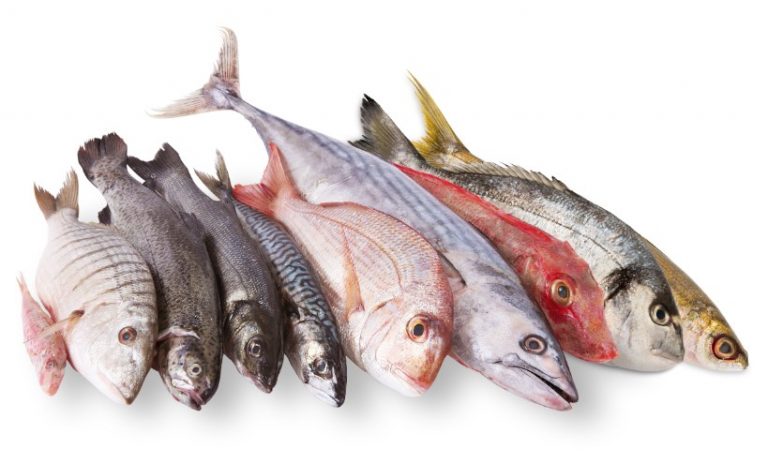 La tasa de incidencia de la enfermedad causada por el consumo de algunos pescados es «muy baja»