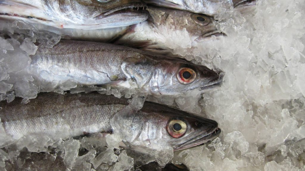 El Pescado Es Uno De Los Pilares De Nuestra Dieta.