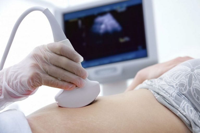 Investigadores de Barcelona lideran el primer proyecto de placenta artificial