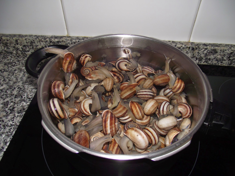 preparación de los caracoles con salsa de almendras