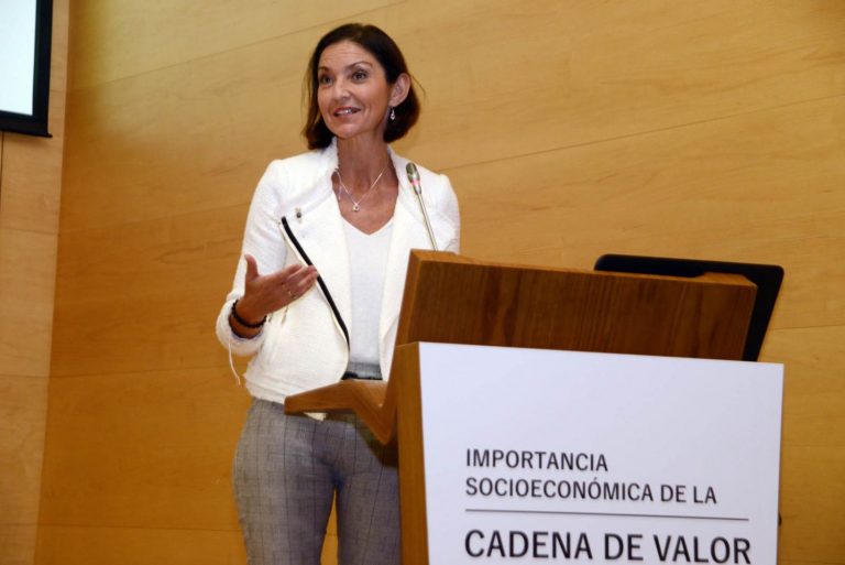 Industria aprobará este mes el estatuto electrointensivo