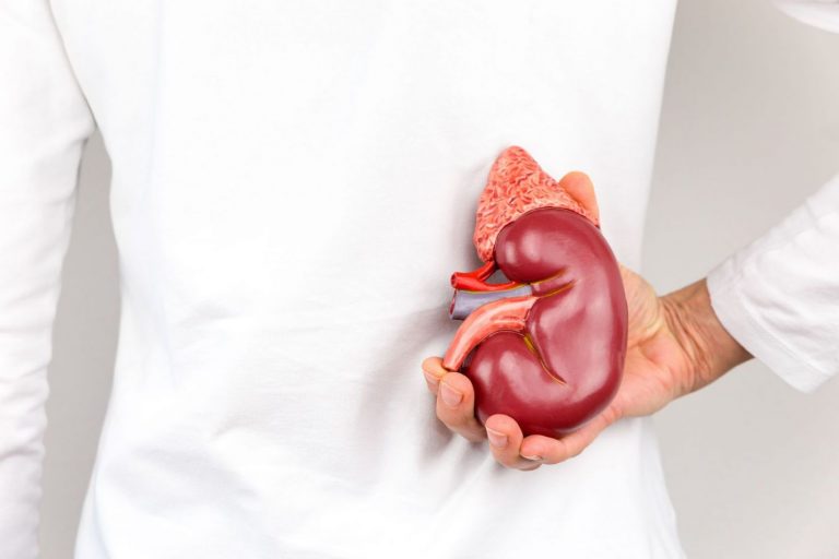 El Hospital La Paz realiza su trasplante renal pediátrico número 500