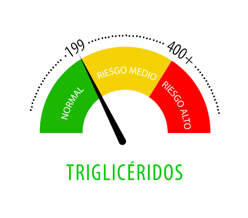 Los Niveles De Triglicéridos 