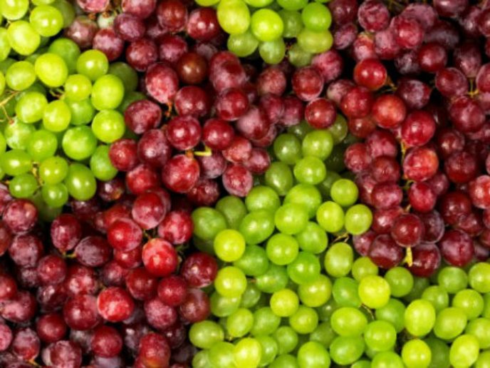Consejos para la compra y conservación de las uvas